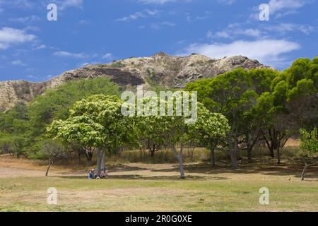 Végétation au cratère volcanique de Diamond Head, Oahu, Océan Pacifique, Hawaï, Etats-Unis Banque D'Images