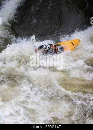 Faites du kayak dans l'eau blanche de la rivière Regnitz, Franconie, Bavière, Allemagne Banque D'Images