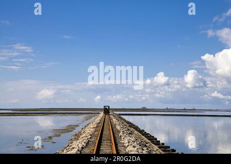 Causeway chariot à Hallig Nordstrandischmoor, au nord de l'archipel Frison, Schleswig-Holstein, Allemagne Banque D'Images