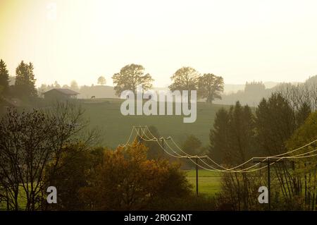 Coucher de soleil près d'Egling, Wolfratshausen, haute-Bavière, Bavière, Allemagne Banque D'Images