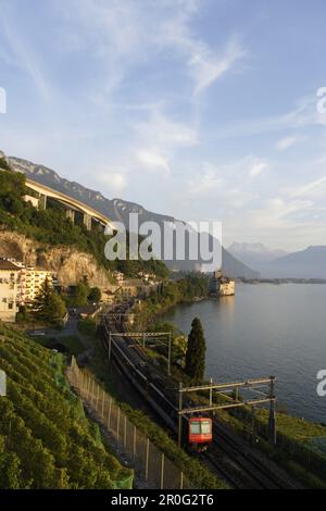 Train au lac Léman, en arrivant au château de Chillon, Veytaux, Vaud, Suisse Banque D'Images