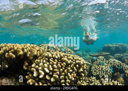 Coraux et peau de plongeur dans le lagon de bikini, les îles Marshall, l'atoll de bikini, la Micronésie, l'océan Pacifique Banque D'Images