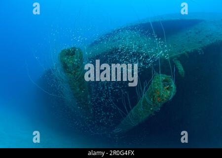 Pistolet de 12 pouces du cuirassé USS Arkansas, Îles Marshall, atoll de bikini, Micronésie, Océan Pacifique Banque D'Images