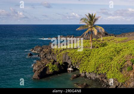 Waianapanapa State Park sur la route de Hana, Maui, Hawaii, États-Unis Banque D'Images