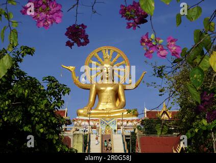 Grand Bouddha, côte nord, Ko Samui, Thaïlande Banque D'Images