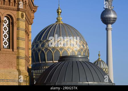 Centrum Judaicum, Nouvelle synagogue, tour de télévision en arrière-plan, Berlin, Allemagne Banque D'Images