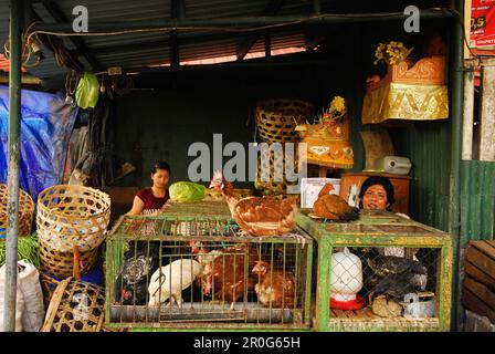 Vendeurs à leurs stands au marché central Pasar Badung, Denpasar, Bali, Indonésie, Asie Banque D'Images