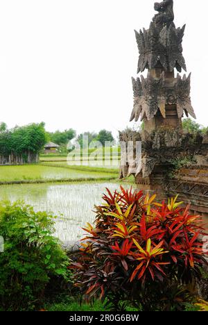 Détail du temple Pura Beji devant le champ de riz, Sangsit, nord de Bali, Indonésie, Asie Banque D'Images