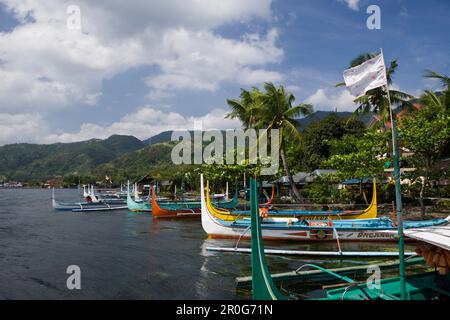 Stabilisateurs sur le lac Taal, Philippines Banque D'Images