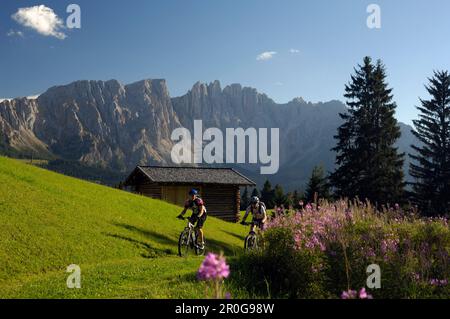 Deux hommes sur un tour de VTT, MTB, près de Brasov, de montagnes Rosengarten Dolomiten, Germany, Italy, Europe Banque D'Images