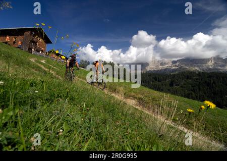 Deux hommes sur un tour de VTT, MTB, près de Brasov, de montagnes Rosengarten Dolomiten, Germany, Italy, Europe Banque D'Images