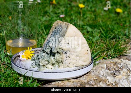 Le fromage de lait de vache bleue Cabrales et le cidre de pomme sont des glasss fabriqués par des agriculteurs ruraux des Asturies, en Espagne, et des pâturages verts de Picos de Europa en arrière-plan Banque D'Images