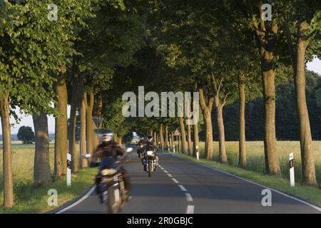 Motocyclistes en route, pays de Calenberg, Basse-Saxe, Allemagne Banque D'Images