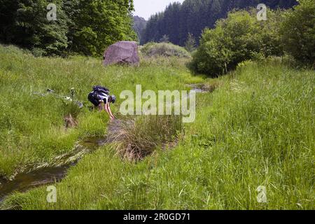 Motard de montagne se rafraîchissant au ruisseau, vallée de Neuhoefer, forêt palatine, Rhénanie-Palentine, Allemagne Banque D'Images