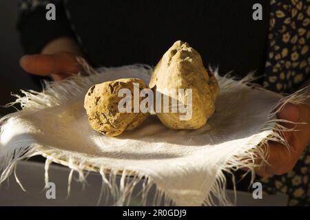 Les truffes dans le marché d'Alba, Piémont, Italie Banque D'Images