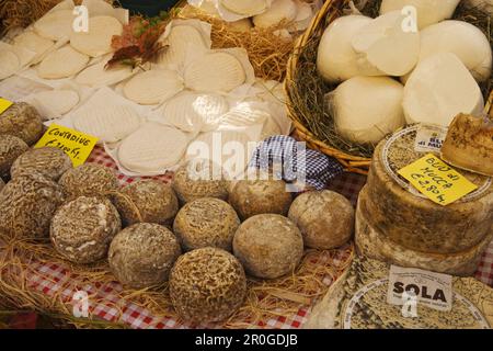 Blocage de fromage dans le marché d'Alba, Piémont, Italie Banque D'Images