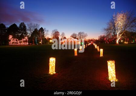 L'éclairage et les lumières de Noël à Westfalen park, Dortmund, Ruhr, Allemagne du Nord,Rhine-Westphalia Banque D'Images