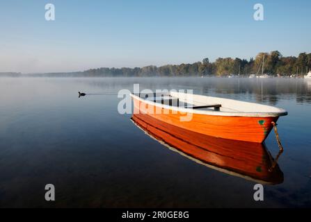 Bateau sur le lac Scharmuetzelsee, Bad Saarow, Land de Brandebourg, Allemagne Banque D'Images