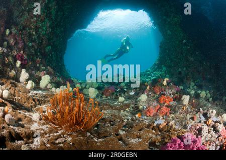 Scuba Diver en grotte, Raja Ampat, Papouasie occidentale, en Indonésie Banque D'Images