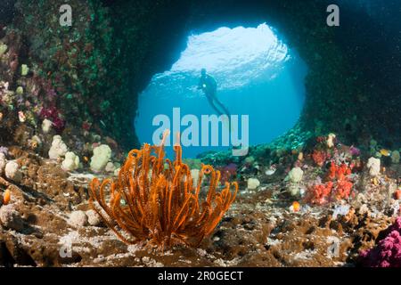 Scuba Diver en grotte, Raja Ampat, Papouasie occidentale, en Indonésie Banque D'Images