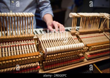 Pianos, Bavière, Allemagne Banque D'Images