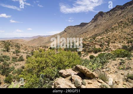 Campagne marocaine, Maroc, Afrique du Nord, Afrique Banque D'Images