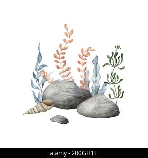 Galets de mer avec coquillages marins, galets inférieurs, algues. Illustration aquarelle dessinée à la main. Marine, composition tropicale pour souvenir, affiches Banque D'Images