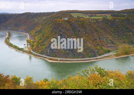 Vue sur le Rhin jusqu'au rocher de Lorelei, près de St. Goarshausen, Rhénanie-Palatinat, Allemagne Banque D'Images