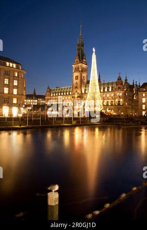 Vue sur Alster à l'hôtel de ville au moment de Noël, Hambourg, Allemagne Banque D'Images