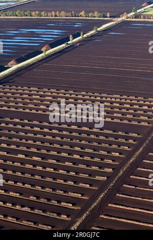 Découpe de tourbe, Camnemoor, Kalkriese, Bramsche, Basse-Saxe, Allemagne Banque D'Images