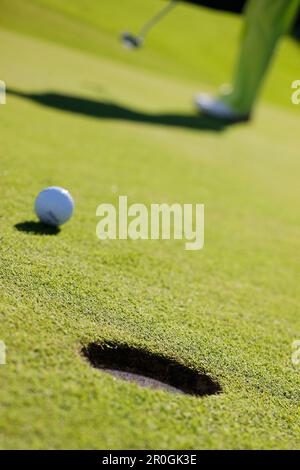 Golfer Putting, Prien am Chiemsee, Bavière, Allemagne Banque D'Images