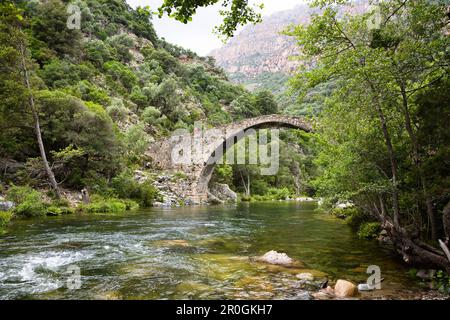 Vieux pont de pierre genovese au-dessus de la rivière Porto près du village d'Ota, Gorges de Spelunca, Corse, France, Europe Banque D'Images