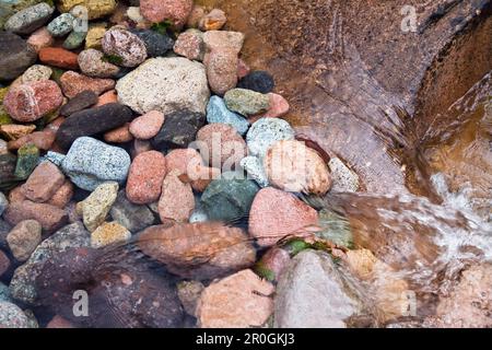 Pierres colorées dans la crique claire dans les Gorges de Spelunca, près du village d'Ota, Corse, France, Europe Banque D'Images