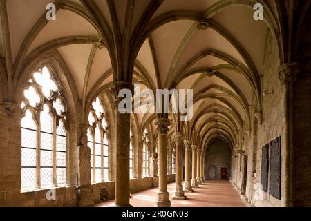 Cloître au monastère de Walkenried, Walkenried, Harz, Basse-Saxe, Allemagne, Europe Banque D'Images