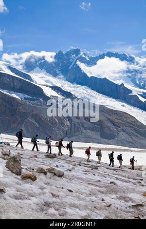 Randonneurs sur un glacier de Gorner à Monte Rosa Hut, Breithorn en arrière-plan, Zermatt, Kanton du Valais, Suisse, piste audio myclimate Banque D'Images