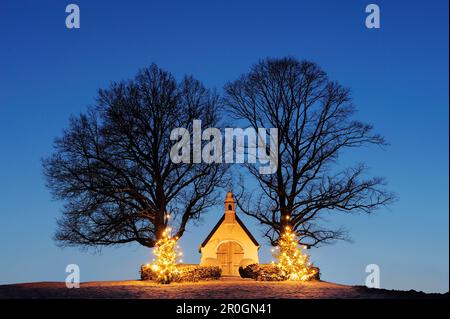 Chapelle illuminée avec deux arbres de Noël illuminés, le lac de Chiemsee, Chiemgau, Upper Bavaria, Bavaria, Germany, Europe Banque D'Images