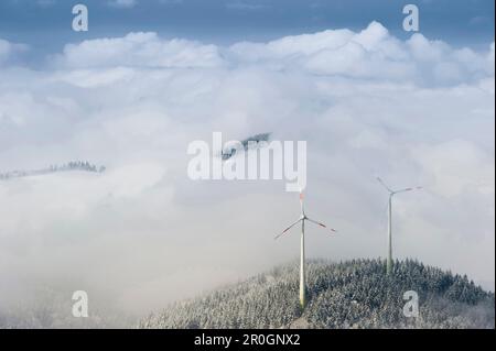 Éoliennes au mont Schauinsland, Freiburg im Breisgau, Forêt-Noire, Bade-Wurtemberg, Allemagne Banque D'Images