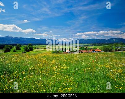 Vue de Aidlinger Hoehe sur les montagnes de Wetterstein, lac Riegsee et Aidling, Murnau en arrière-plan, haute-Bavière, Allemagne, Europe Banque D'Images