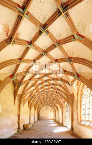 Parlatorium, monastère Kloster Maulbronn, Maulbronn, Bade-Wurtemberg, Allemagne, Europe Banque D'Images