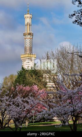 Cerisiers en fleurs et amandiers en face de la mosquée, baie de Havel Neustaedter, Potsdam, Brandebourg, Allemagne, Europe Banque D'Images