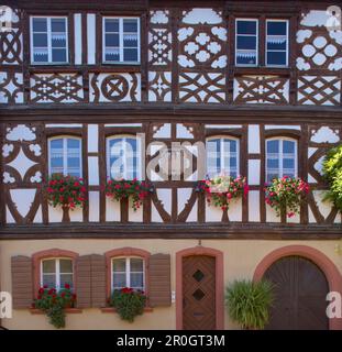 Burkheim, ville historique avec des maisons à colombages, Kaiserstuhl, Bade-Wurtemberg, Allemagne, Europe Banque D'Images