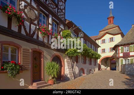 Burkheim, ville historique avec porte de ville, Kaiserstuhl, Bade-Wurtemberg, Allemagne, Europe Banque D'Images