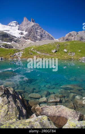 Randonneurs au lac Oberhorn, Tschingelhorn et glacier Breithorn en arrière-plan, vallée de Lauterbrunnen, canton de Berne, Suisse Banque D'Images