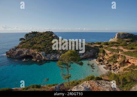 Calo d'es Moro, à proximité de Cala S'ammoniaque, près de Santanyi, Majorque, Iles Baléares, Espagne, Europe Banque D'Images