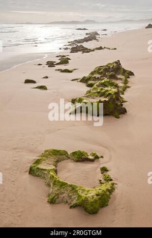 Plage sous ciel nuageux, Brenton sur rochers, Garden route, SouthAfrika Banque D'Images