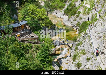 Portrait de randonneurs sur un Oetscherland Oetschergraeben pont,,, Basse Autriche, Autriche, Europe Banque D'Images