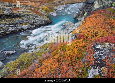 Rivière Leira au parc national de Jotunheimen, Leirdalen, Norvège, Europe Banque D'Images