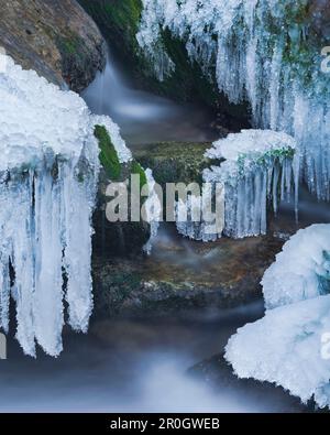 Avis de Mira tombe en hiver, Basse Autriche, Autriche, Europe Banque D'Images
