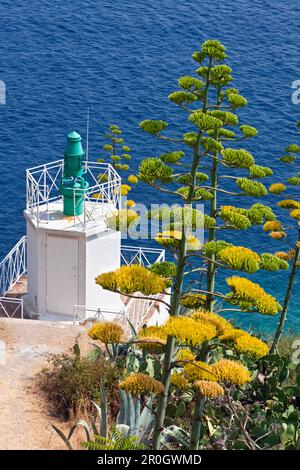 Avant-poste de phare au pied de la Citadelle, Calvi, Corse, France Banque D'Images