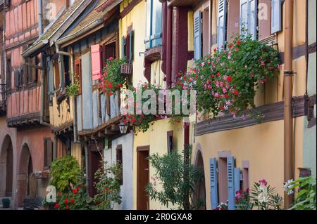 Maisons à colombages à Eguisheim, près de Colmar, Alsace, France Banque D'Images